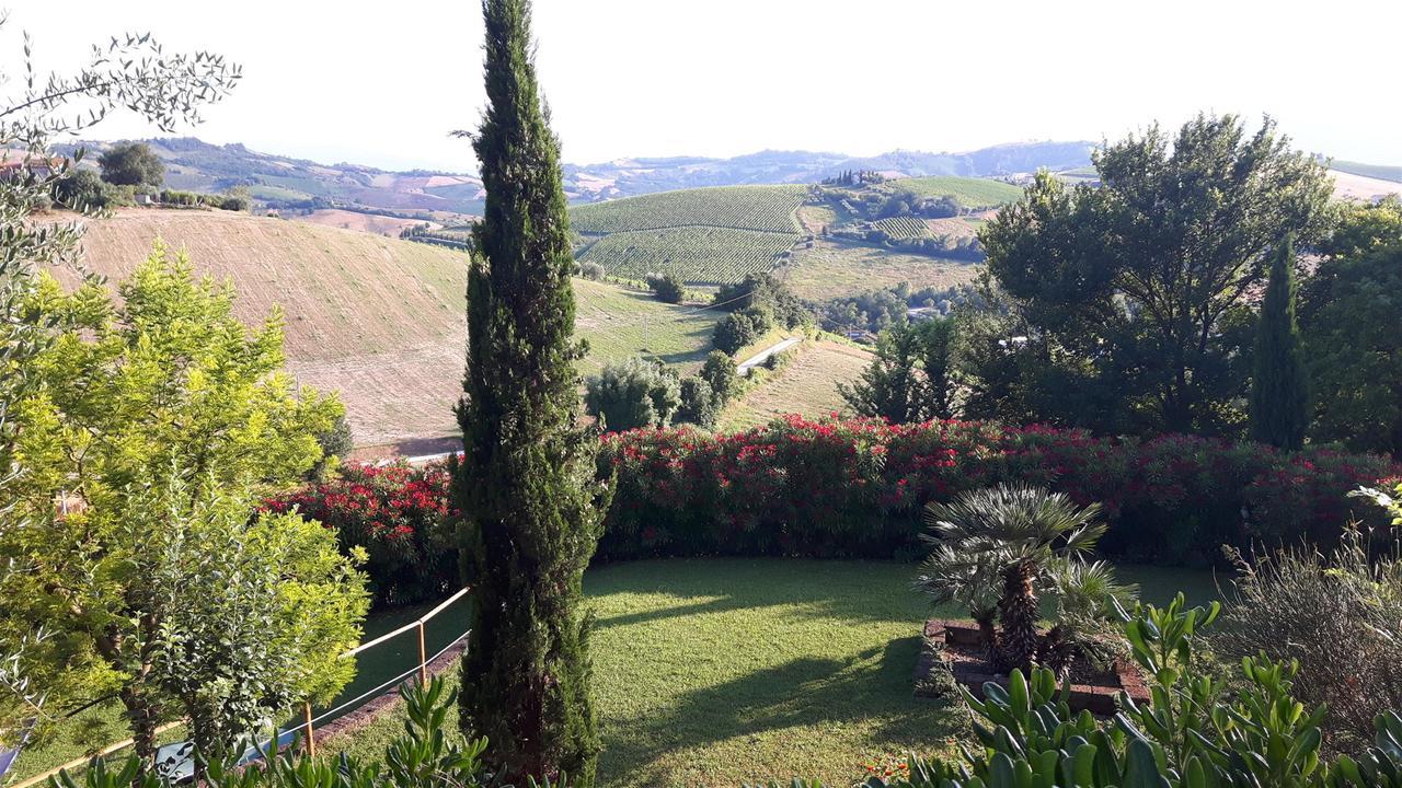 לינה וארוחת בוקר Cossignano La Casa In Campagna מראה חיצוני תמונה