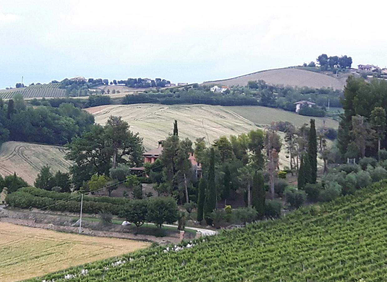 לינה וארוחת בוקר Cossignano La Casa In Campagna מראה חיצוני תמונה