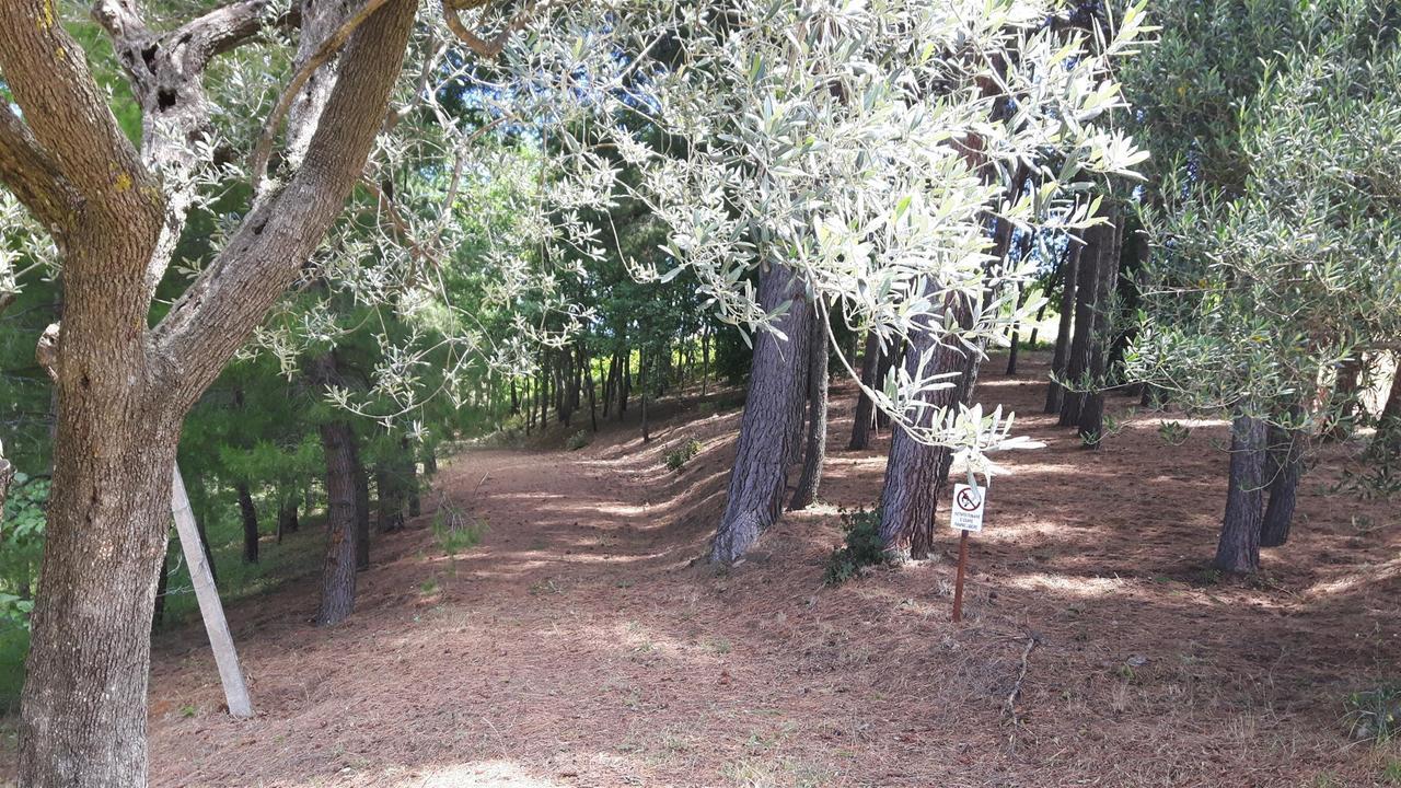 לינה וארוחת בוקר Cossignano La Casa In Campagna מראה חיצוני תמונה